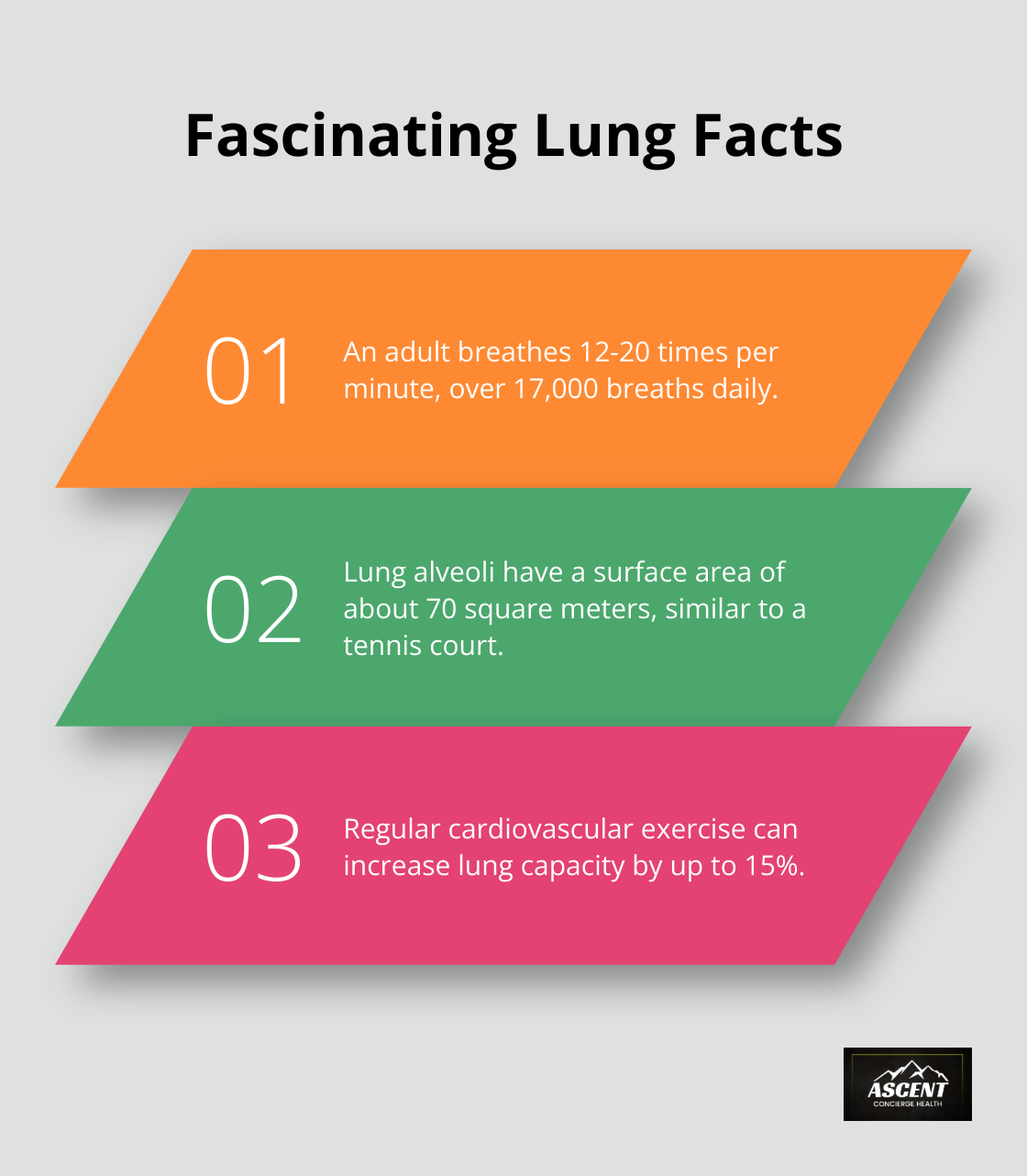Ordered list chart showing three interesting facts about lung function and breathing - cardiovascular respiratory