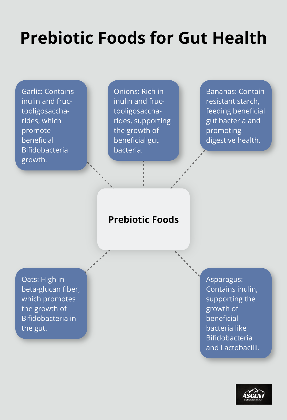 Hub and spoke chart showing prebiotic foods that boost beneficial gut bacteria within two weeks